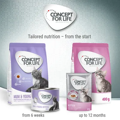 Concept for Life cat food range showing products for mum and young kittens from 6 weeks, and kitten food up to 12 months. Includes dry and wet food packaging with feeding age guidance.