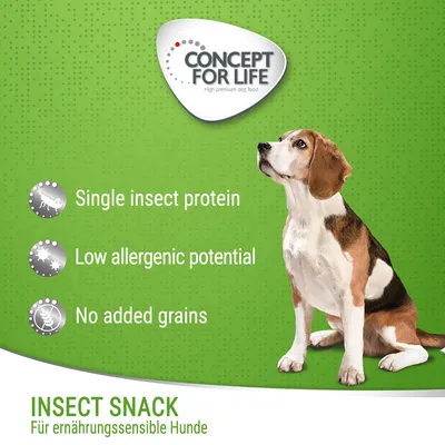 Concept for Life Insect Snack táplálékérzékeny kutyáknak. Egyféle rovarfehérje, alacsony allergén potenciál, gabonamentes.