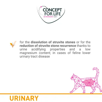 For dissolution of struvite stones or reduction of struvite stone recurrence due to urine acidifying properties and low magnesium; for cases of feline lower urinary tract disease.