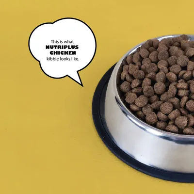 Voerbak met brokjes. Tekst in beeld: This is what NUTRIPLUS CHICKEN kibble looks like.