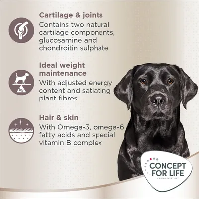 Cartilage & joints: glucosamine, chondroitin sulphate. Ideal weight maintenance: adjusted energy, plant fibres. Hair & skin: Omega-3, omega-6, vitamin B complex. Concept for Life brand.