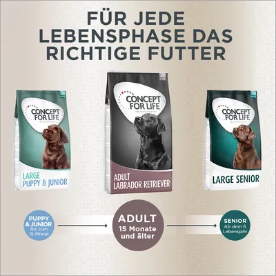 Concept for Life Hundefutter für jede Lebensphase: Large Puppy & Junior bis 15 Monate, Adult Labrador Retriever ab 15 Monate, Large Senior ab dem 6. Lebensjahr.