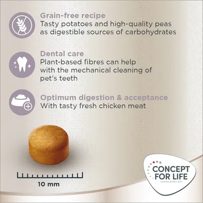 Grain-free recipe with potatoes and peas, plant-based fibres for dental care, fresh chicken for digestion. Kibble size shown as 10 mm. Concept for Life brand.