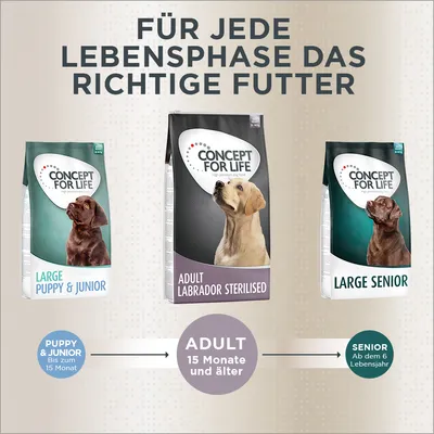 Concept for Life Hundefutter für jede Lebensphase: Large Puppy & Junior bis 15 Monate, Adult Labrador Sterilised ab 15 Monate, Large Senior ab dem 6. Lebensjahr.