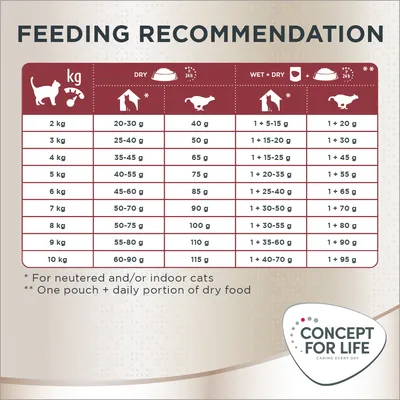 Feeding recommendation table showing daily dry and wet food amounts by cat weight from 2kg to 10kg, with notes for neutered or indoor cats and combined feeding. Concept for Life branding shown.