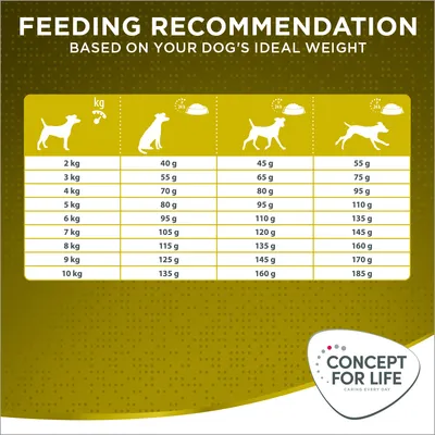Feeding recommendation table showing daily food amounts in grams for dogs from 2kg to 10kg, with columns for different activity levels. Brand: Concept for Life.