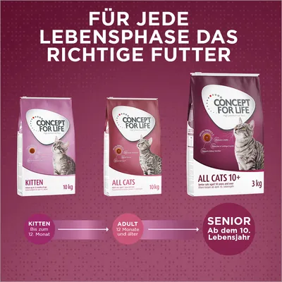 Concept for Life Katzenfutter für Kitten bis 12 Monate, Adult ab 12 Monaten und Senior ab dem 10. Lebensjahr. Verpackungen: Kitten 10kg, Adult 10kg, Senior 3kg.