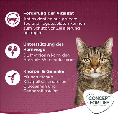 Concept for Life. Förderung der Vitalität mit Antioxidantien, Unterstützung der Harnwege durch DL-Methionin, Knorpel & Gelenke mit Glucosamin und Chondroitinsulfat.