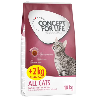 Concept for Life All Cats