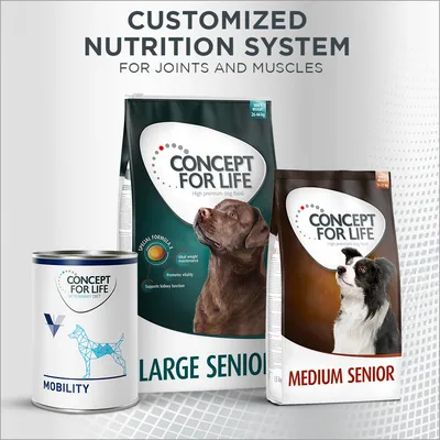 Concept for Life nutrition system for joints and muscles, showing Large Senior, Medium Senior dry food and Mobility wet food packaging with visible product names and key benefits.