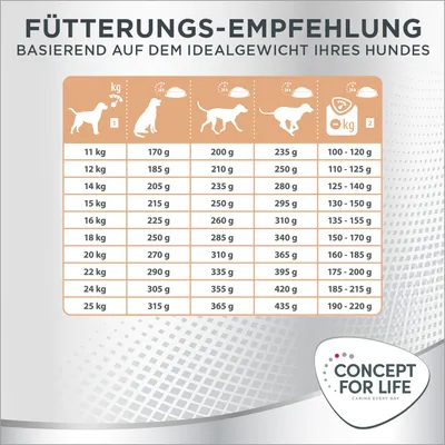 Fütterungsempfehlung basierend auf dem Idealgewicht des Hundes. Tabelle mit Gewichtsangaben von 11-25 kg und empfohlenen Futterportionen in Gramm. Marke: Concept for Life.
