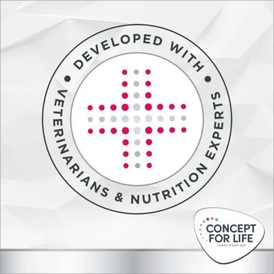 Concept for Life Veterinary Diet Gastrointestinal torrfoder för katter