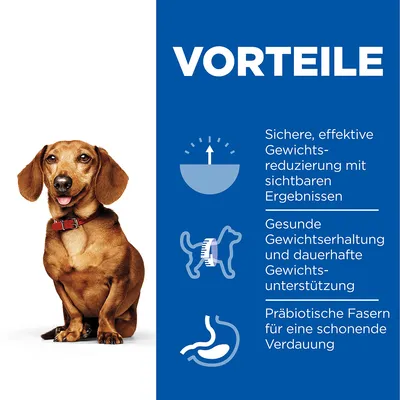 VORTEILE: Sichere, effektive Gewichtsreduzierung mit sichtbaren Ergebnissen. Gesunde Gewichtserhaltung und dauerhafte Gewichtsunterstützung. Präbiotische Fasern für eine schonende Verdauung.