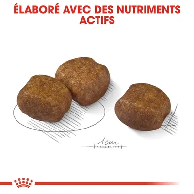 Croquettes avec texte : « Élaboré avec des nutriments actifs ». Trois croquettes visibles, échelle de 1 cm indiquée en dessous.