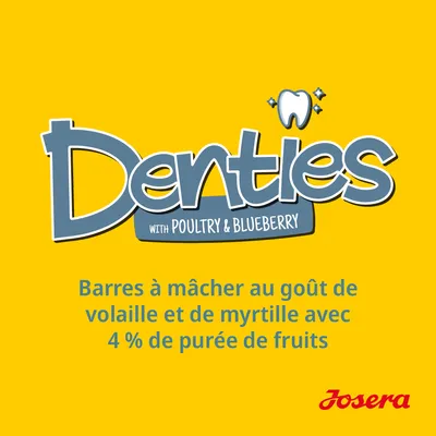 Denties with poultry & blueberry, barres à mâcher au goût de volaille et de myrtille avec 4 % de purée de fruits, Josera