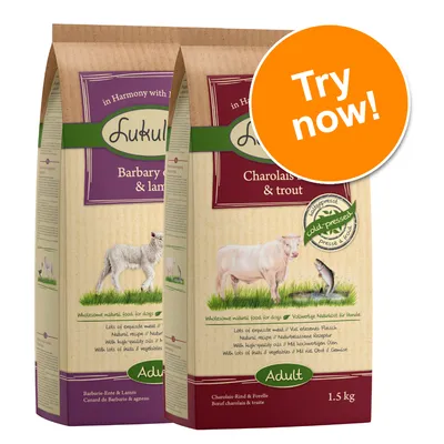 Lukullus Barbary duck & lamb and Charolais beef & trout adult dog food, 1.5 kg bags, visible cold-pressed badge, orange Try now! label on packaging