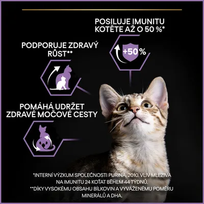 Posiluje imunitu kotěte až o 50 %, podporuje zdravý růst, pomáhá udržet zdravé močové cesty. Text: interní výzkum společnosti Purina, vliv mleziva na imunitu 24 koťat během 44 týdnů.