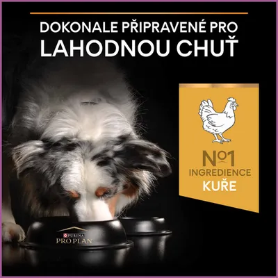 Pes jí z misky Purina Pro Plan, text: Dokonale připravené pro lahodnou chuť. No1 ingredience kuře, obrázek kuřete.