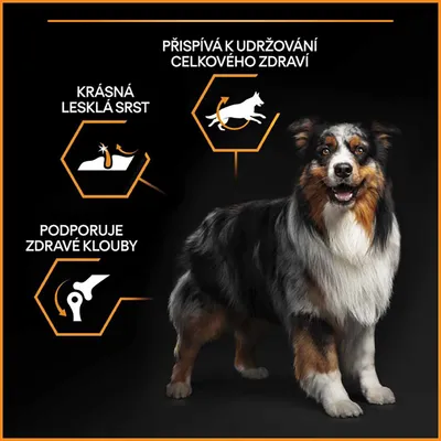 Pes s textem: Přispívá k udržování celkového zdraví, Krásná lesklá srst, Podporuje zdravé klouby. Ilustrace psa a kloubu.