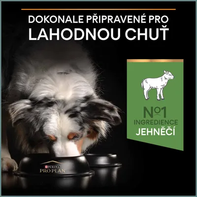 Pes jí z misky Purina Pro Plan, text: Dokonale připravené pro lahodnou chuť. N°1 ingredience jehněčí.