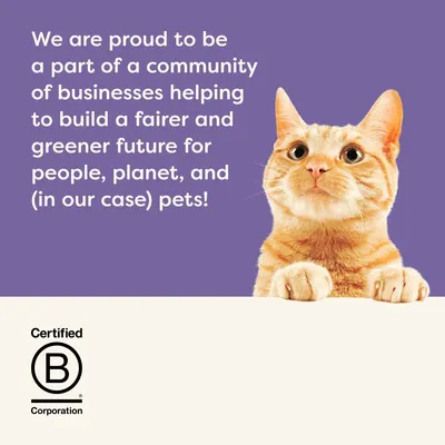 Tekst: We are proud to be a part of a community of businesses helping to build a fairer and greener future for people, planet, and (in our case) pets! Certified B Corporation.