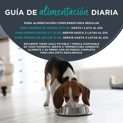 Encore en latas 12 x 156 g comida húmeda para perros