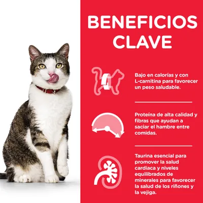 Beneficios clave: bajo en calorías y con L-carnitina, proteína de alta calidad y fibras, taurina esencial para salud cardíaca y renal. Imagen de un gato junto al texto.