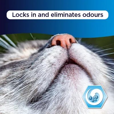 Ever Clean® Total Cover Clumping Cat Litter - Unscented