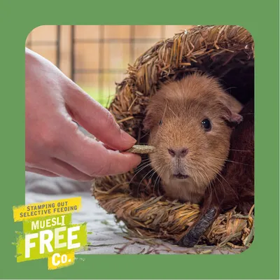 Hand feeding a small animal with a treat in front of a straw tunnel. Text reads: Stamping out selective feeding, muesli free co.