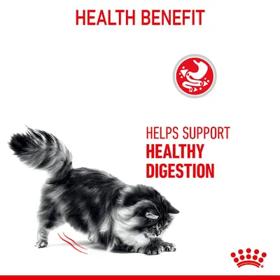 Health benefit information: helps support healthy digestion, shown with a cat and digestive system icon.