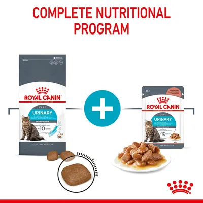 Image showing a complete nutritional programme with dry and wet urinary care food, including kibble pieces and chunks in gravy, for combined feeding.