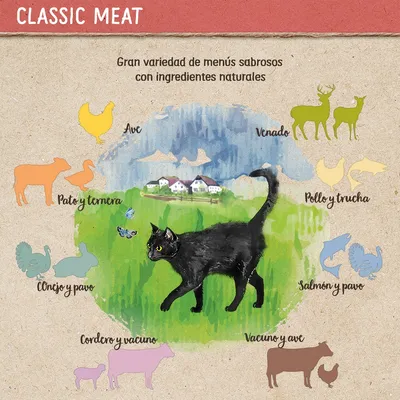 Classic Meat. Gran variedad de menús sabrosos con ingredientes naturales: ave, venado, pato y ternera, pollo y trucha, conejo y pavo, salmón y pavo, cordero y vacuno, vacuno y ave.