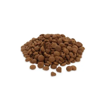 Feringa Adult Duo kip met forel