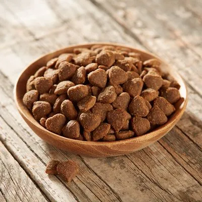 Feringa Kitten med anka