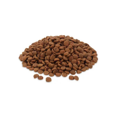 Brown, round dry food pieces in a pile, suitable for describing pet food.