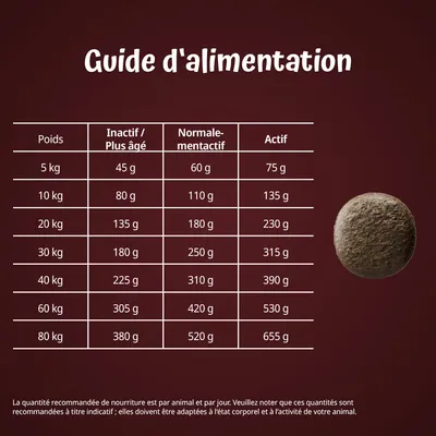 Guide d’alimentation : tableau des quantités journalières recommandées selon le poids du chien (5 à 80 kg) et niveau d’activité, de 45 g à 655 g par jour.