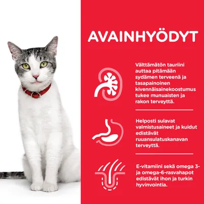 AVAINHYÖDYT: Välttämätön tauriini auttaa pitämään sydämen terveenä ja tasapainoinen kivennäisainekoostumus tukee munuaisten ja rakon terveyttä. Helposti sulavat valmistusaineet ja kuidut edistävät ruoansulatuskanavan terveyttä. E-vitamiini sekä omega 3- ja omega-6-rasvahapot edistävät ihon ja turkin hyvinvointia.