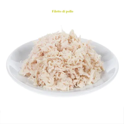 Filetto di pollo sminuzzato su piatto bianco, testo visibile in alto: Filetto di pollo.