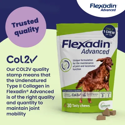 Flexadin Advanced Joint Care Supplement for Dogs - 60 Chews Flexadin Advanced Joint Care Supplement for Dogs - 60 Chews