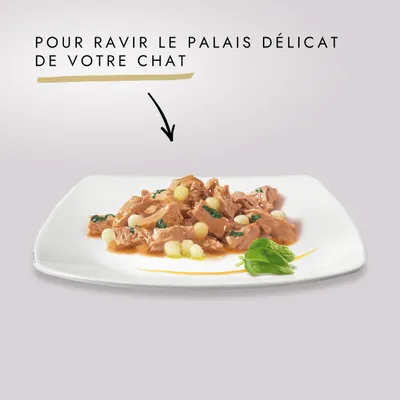 Pour ravir le palais délicat de votre chat. Assiette avec morceaux de nourriture humide pour chat, sauce et légumes visibles.