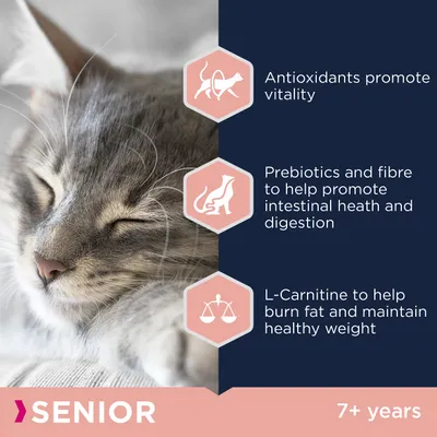 Tekst: Antioxidants promote vitality. Prebiotics and fibre to help promote intestinal heath and digestion. L-Carnitine to help burn fat and maintain healthy weight. SENIOR 7+ years.
