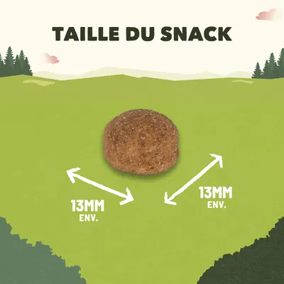 Taille du snack : boule ronde d’environ 13 mm de diamètre, texte « 13 mm env. » indiqué deux fois avec des flèches autour du snack.