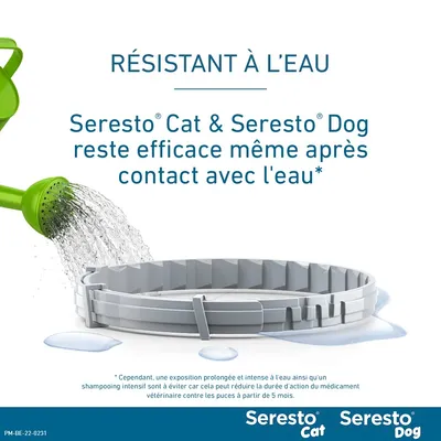 Collier antiparasitaire Seresto® pour grand chien