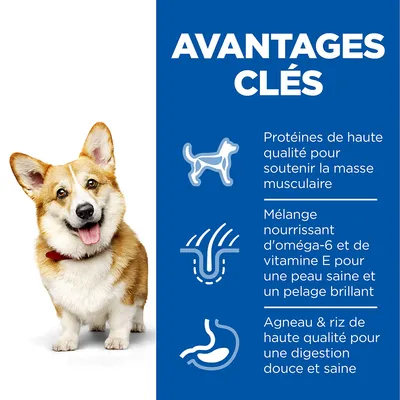Avantages clés : protéines de haute qualité pour la masse musculaire, oméga-6 et vitamine E pour peau et pelage, agneau & riz pour une digestion douce et saine.