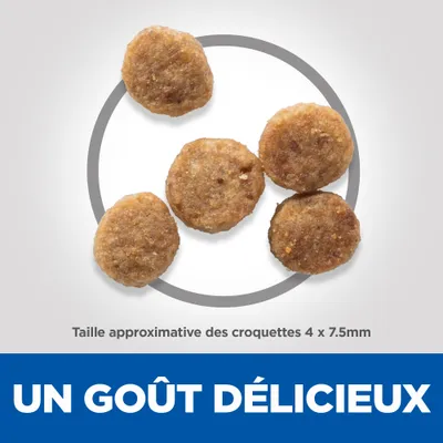 Taille approximative des croquettes 4 x 7,5 mm. Texte visible : UN GOÛT DÉLICIEUX.