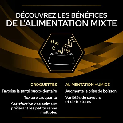 Découvrez les bénéfices de l’alimentation mixte : croquettes favorisent la santé bucco-dentaire, texture croquante, petits repas multiples ; alimentation humide augmente la prise de boisson, variétés.