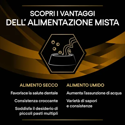 Scopri i vantaggi dell’alimentazione mista. Alimento secco: favorisce la salute dentale, consistenza croccante, soddisfa il desiderio di piccoli pasti multipli. Alimento umido: aumenta l’assunzione di acqua, varietà di sapori e consistenze.