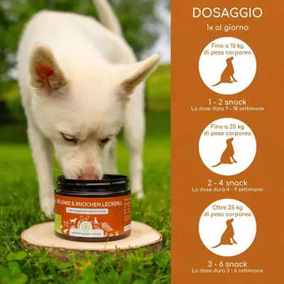 Wolfsbacher Natur Snack Articolazioni & Ossa