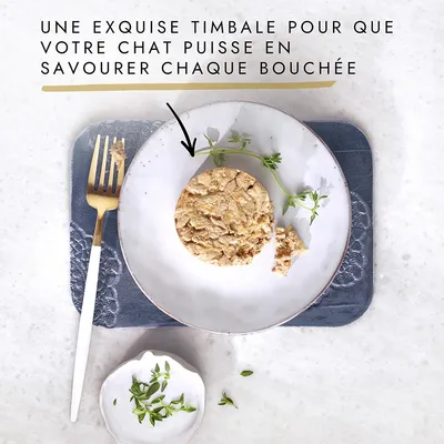 Texte en haut de l’image : Une exquise timbale pour que votre chat puisse en savourer chaque bouchée.