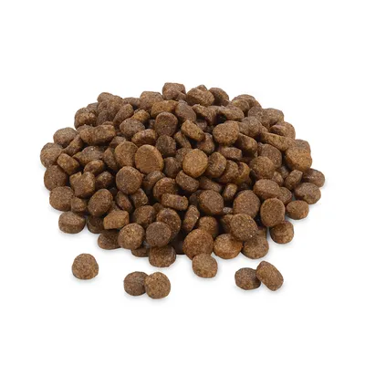 Croquettes rondes de couleur brune, présentées en tas sur fond blanc. Aucun emballage ni marque visible.